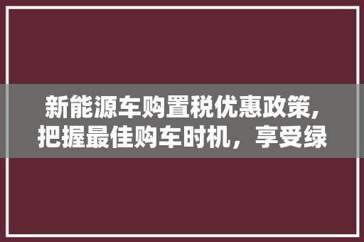 新能源车购置税优惠政策,把握最佳购车时机，享受绿色出行红利