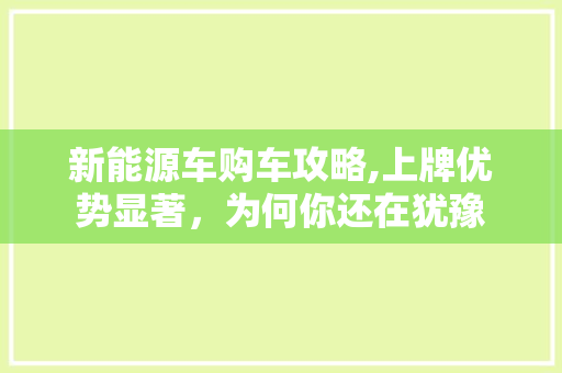 新能源车购车攻略,上牌优势显著，为何你还在犹豫