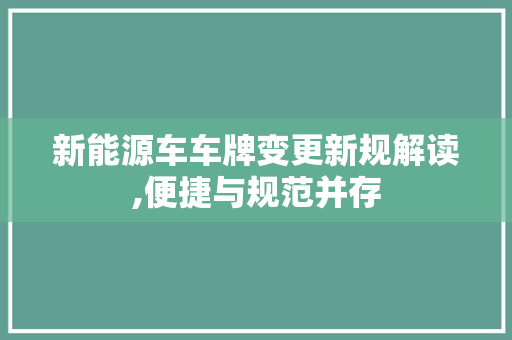 新能源车车牌变更新规解读,便捷与规范并存