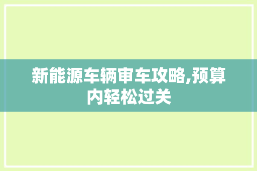 新能源车辆审车攻略,预算内轻松过关
