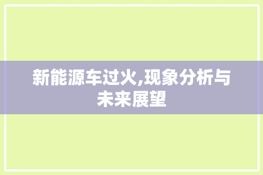 新能源车过火,现象分析与未来展望