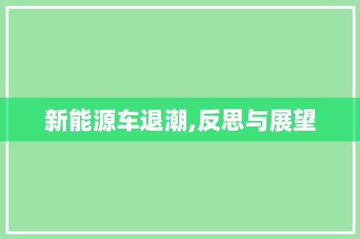新能源车退潮,反思与展望