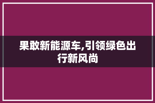 果敢新能源车,引领绿色出行新风尚