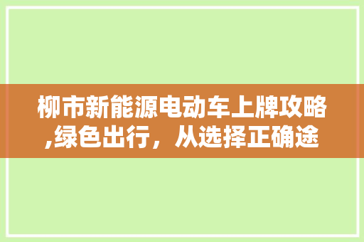 柳市新能源电动车上牌攻略,绿色出行，从选择正确途径开始