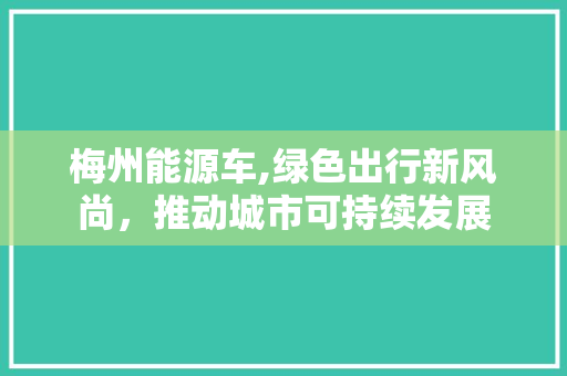 梅州能源车,绿色出行新风尚，推动城市可持续发展