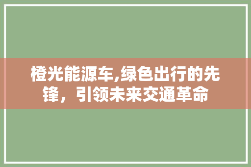 橙光能源车,绿色出行的先锋，引领未来交通革命