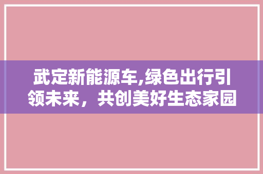 武定新能源车,绿色出行引领未来，共创美好生态家园
