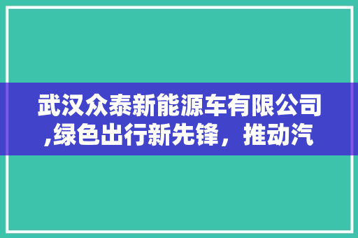 武汉众泰新能源车有限公司,绿色出行新先锋，推动汽车行业可持续发展