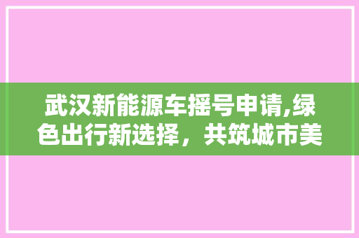 武汉新能源车摇号申请,绿色出行新选择，共筑城市美好未来
