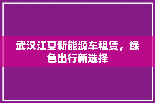 武汉江夏新能源车租赁，绿色出行新选择