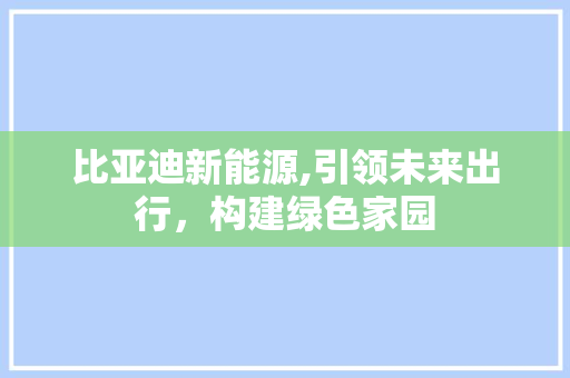 比亚迪新能源,引领未来出行，构建绿色家园