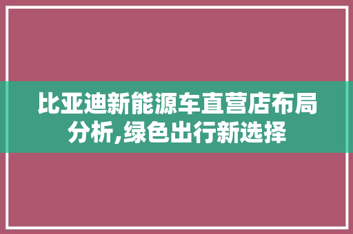 比亚迪新能源车直营店布局分析,绿色出行新选择