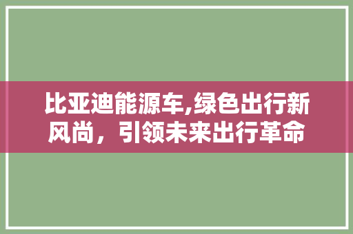 比亚迪能源车,绿色出行新风尚，引领未来出行革命