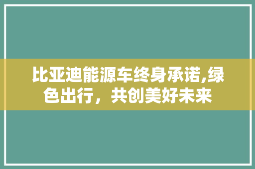 比亚迪能源车终身承诺,绿色出行，共创美好未来
