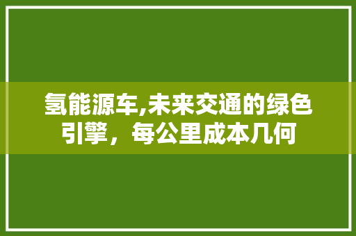 氢能源车,未来交通的绿色引擎，每公里成本几何
