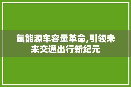 氢能源车容量革命,引领未来交通出行新纪元