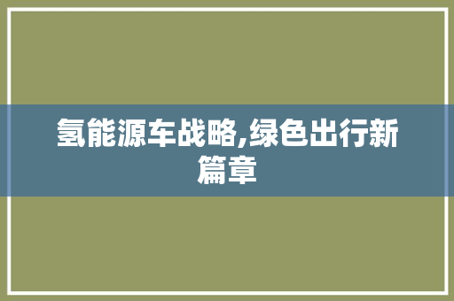 氢能源车战略,绿色出行新篇章