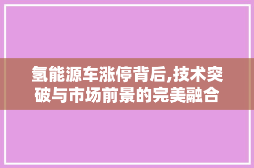 氢能源车涨停背后,技术突破与市场前景的完美融合