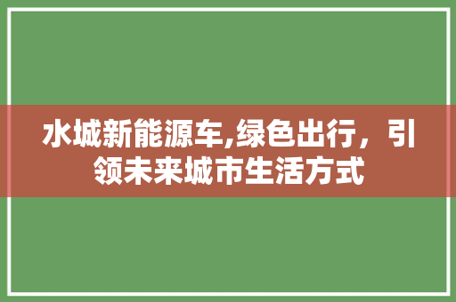 水城新能源车,绿色出行，引领未来城市生活方式