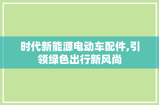 时代新能源电动车配件,引领绿色出行新风尚