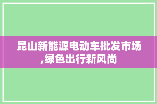 昆山新能源电动车批发市场,绿色出行新风尚