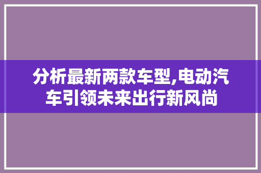 分析最新两款车型,电动汽车引领未来出行新风尚