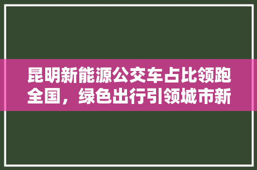 昆明新能源公交车占比领跑全国，绿色出行引领城市新风尚