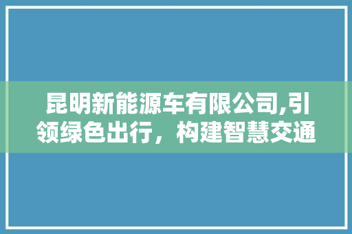 昆明新能源车有限公司,引领绿色出行，构建智慧交通新蓝图