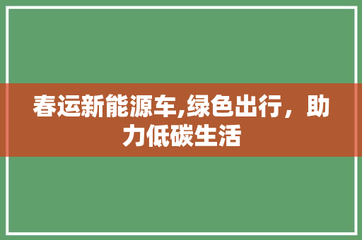 春运新能源车,绿色出行，助力低碳生活