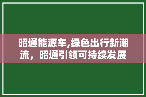 昭通能源车,绿色出行新潮流，昭通引领可持续发展