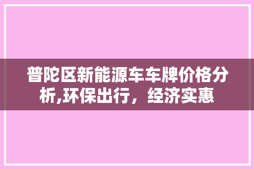 普陀区新能源车车牌价格分析,环保出行，经济实惠