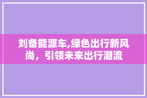 刘备能源车,绿色出行新风尚，引领未来出行潮流