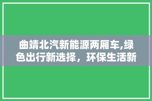 曲靖北汽新能源两厢车,绿色出行新选择，环保生活新篇章