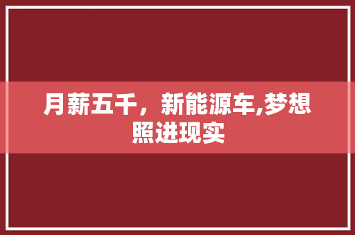 月薪五千，新能源车,梦想照进现实