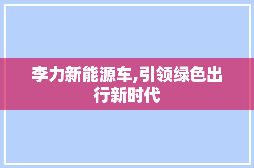 李力新能源车,引领绿色出行新时代