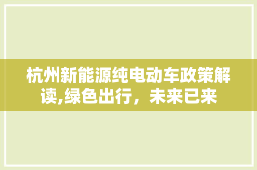 杭州新能源纯电动车政策解读,绿色出行，未来已来