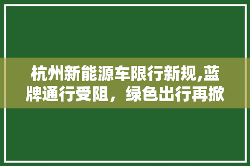杭州新能源车限行新规,蓝牌通行受阻，绿色出行再掀波澜