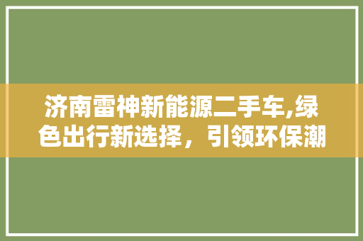 济南雷神新能源二手车,绿色出行新选择，引领环保潮流