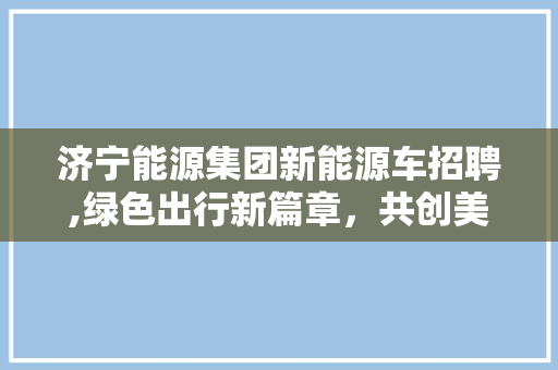 济宁能源集团新能源车招聘,绿色出行新篇章，共创美好未来