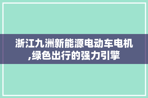 浙江九洲新能源电动车电机,绿色出行的强力引擎