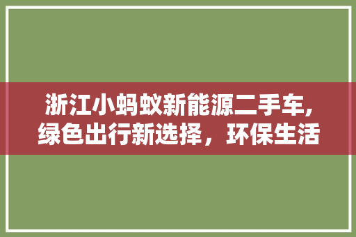 浙江小蚂蚁新能源二手车,绿色出行新选择，环保生活新风尚