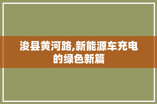 浚县黄河路,新能源车充电的绿色新篇
