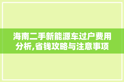 海南二手新能源车过户费用分析,省钱攻略与注意事项