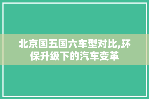 北京国五国六车型对比,环保升级下的汽车变革