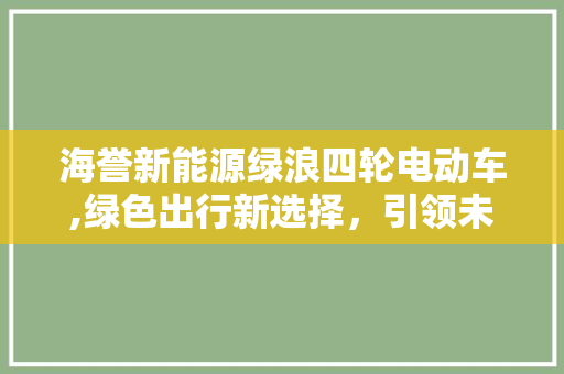 海誉新能源绿浪四轮电动车,绿色出行新选择，引领未来出行潮流