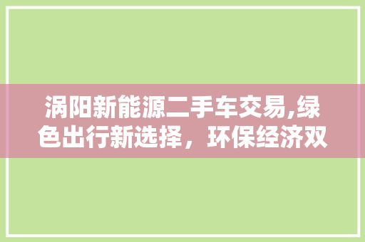 涡阳新能源二手车交易,绿色出行新选择，环保经济双赢之路