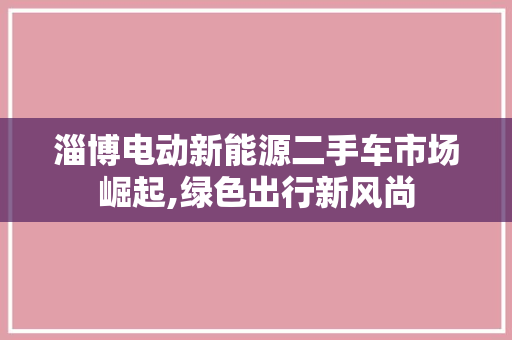 淄博电动新能源二手车市场崛起,绿色出行新风尚
