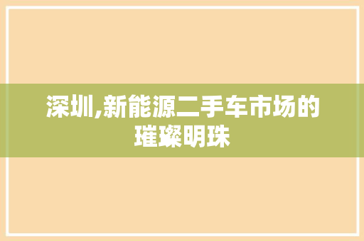 深圳,新能源二手车市场的璀璨明珠