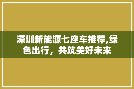 深圳新能源七座车推荐,绿色出行，共筑美好未来
