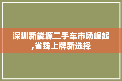 深圳新能源二手车市场崛起,省钱上牌新选择